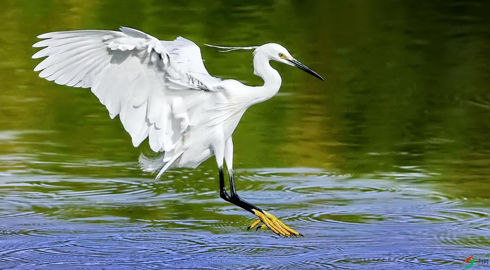 DSC_5618a.jpg