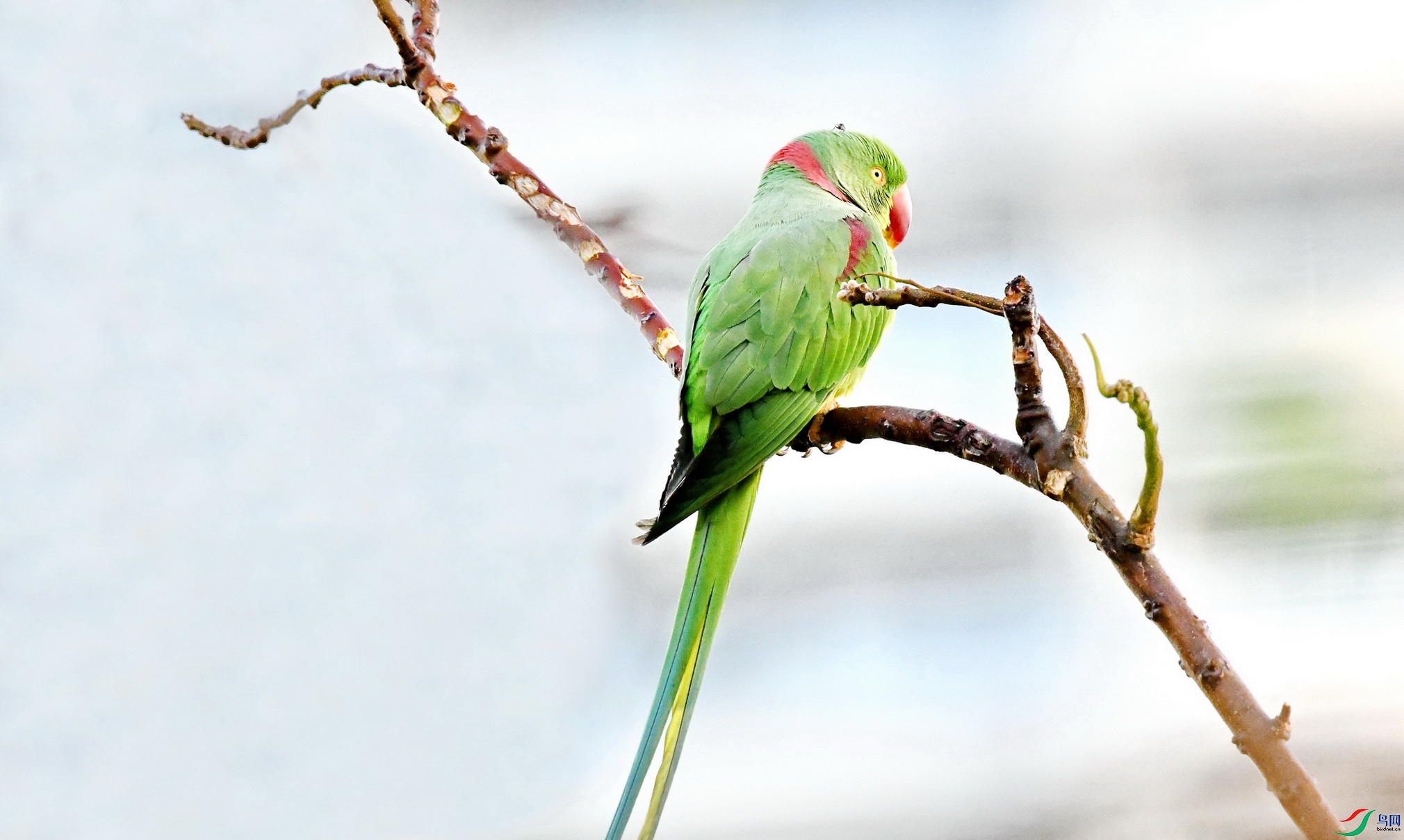 DSC_3164.JPG
