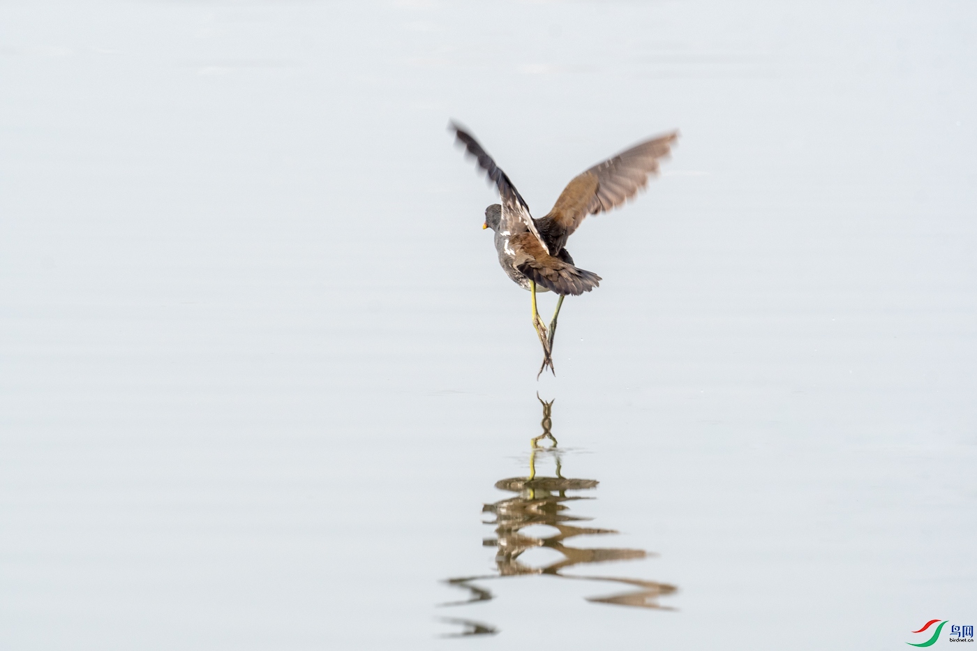 DSC_5443-2.jpg