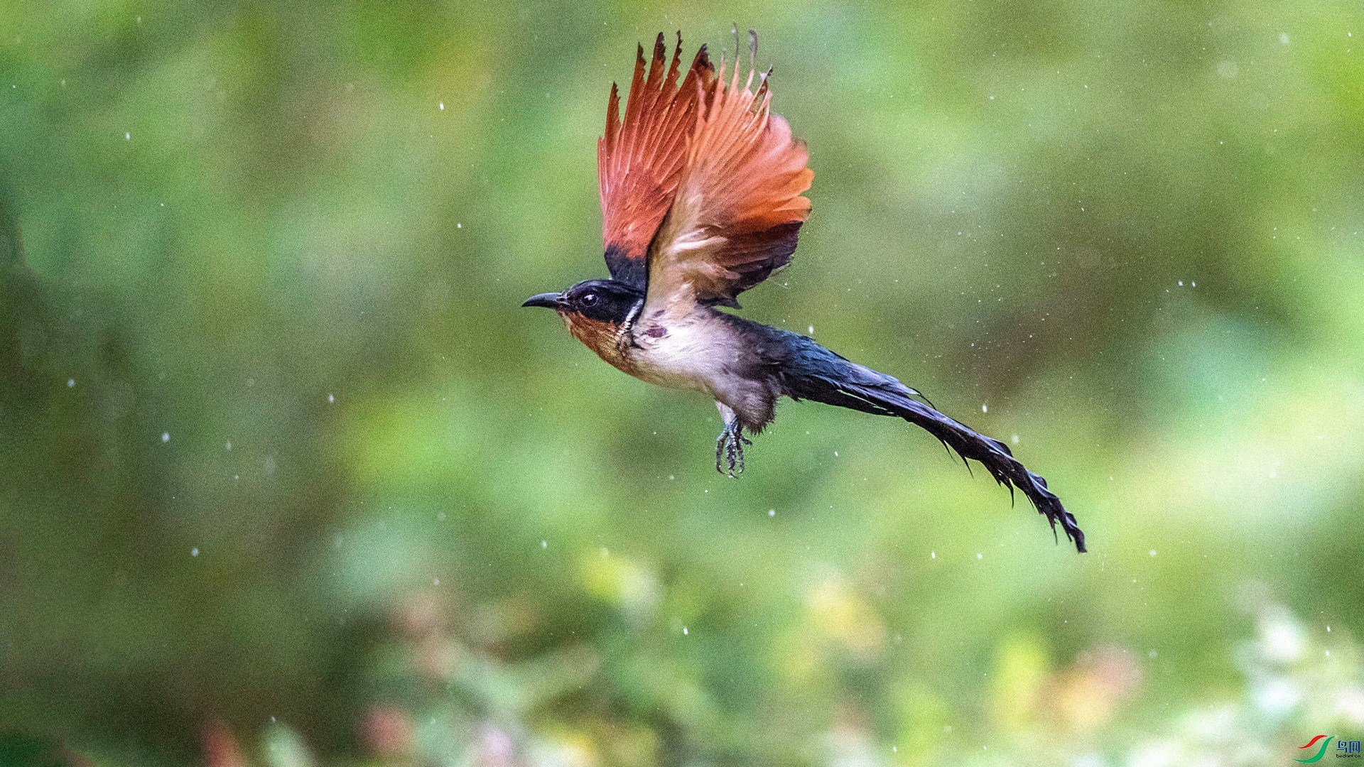 CI5A9826 - ���� - ���� - ����.jpg