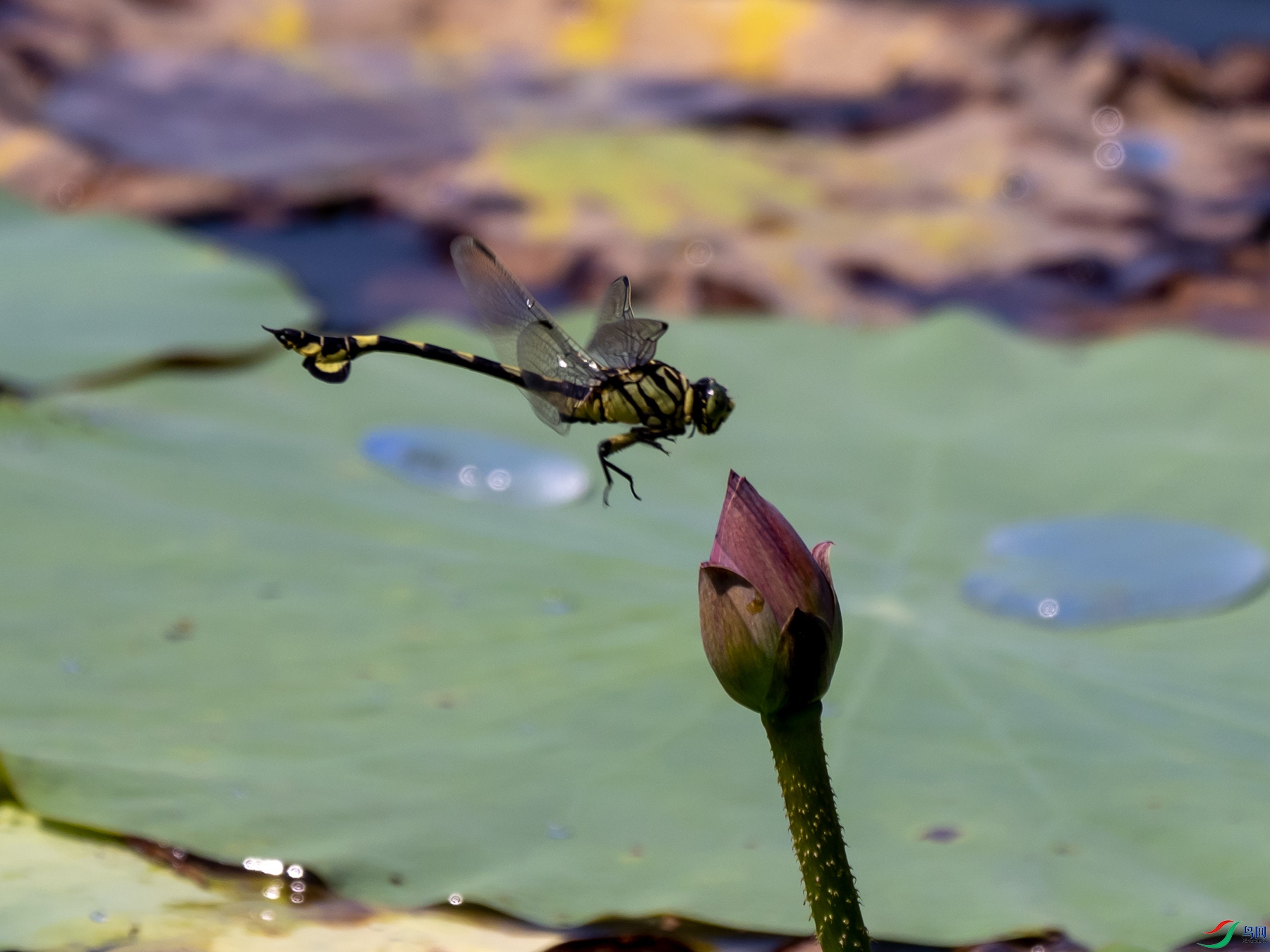 ׼������Ĵ���