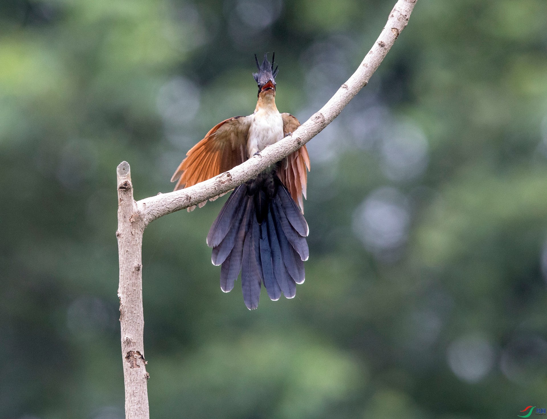 CI5A1051 - ���� - ���� - ����.jpg