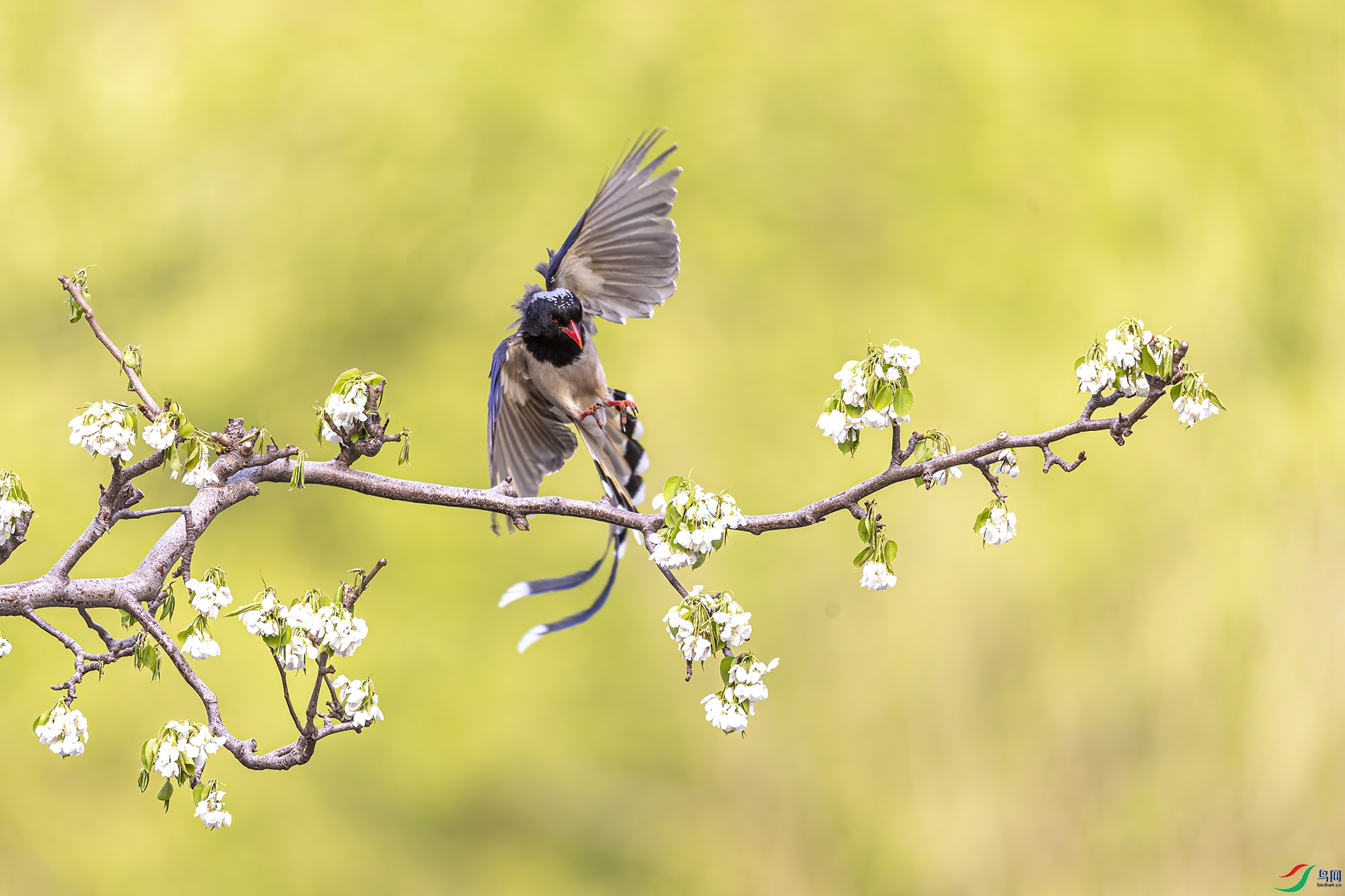 ������ȵ_9129333.jpg