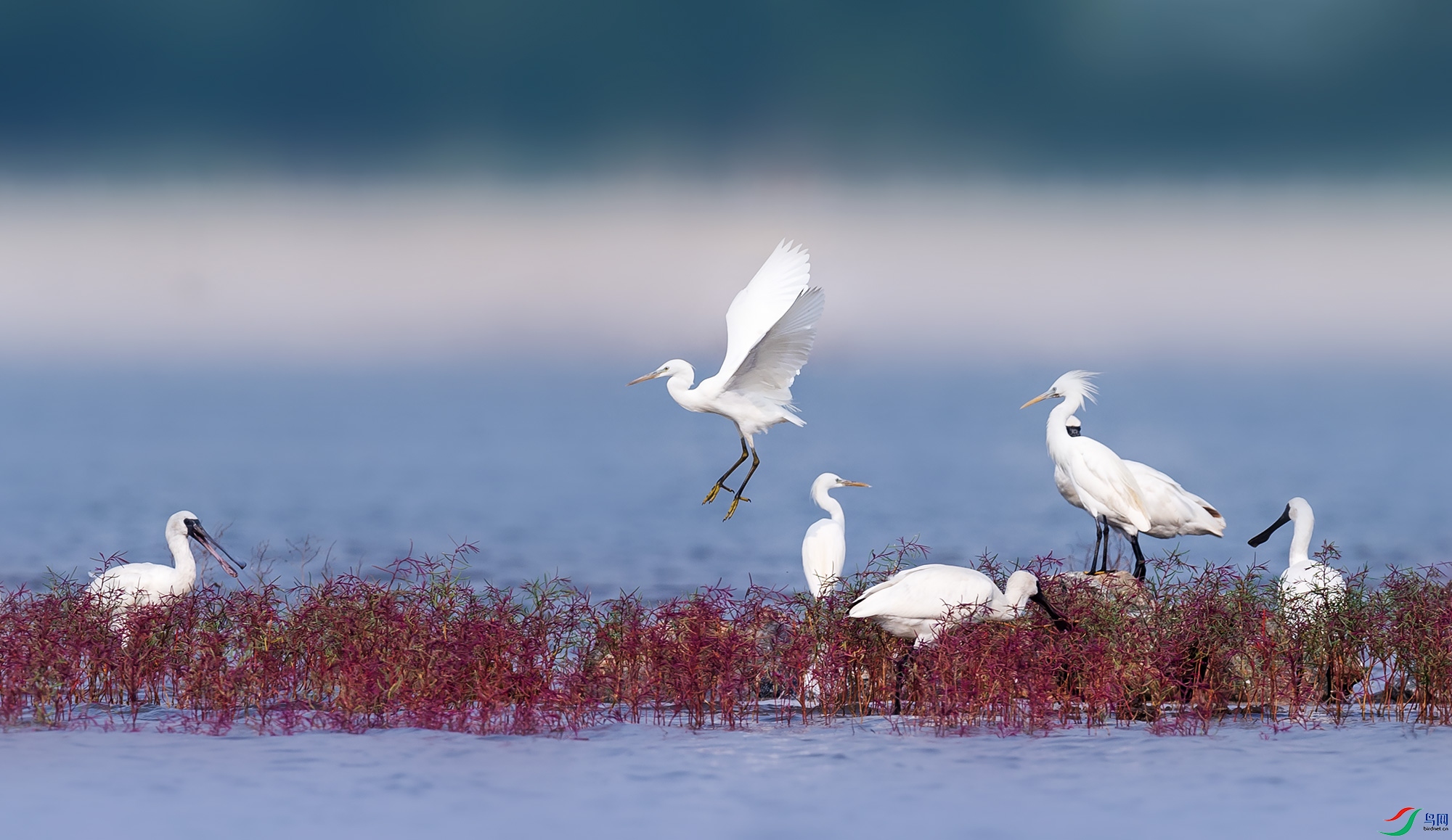 �������������