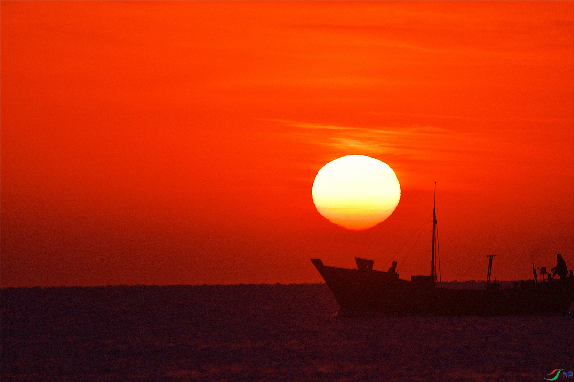DSC_8509.JPG