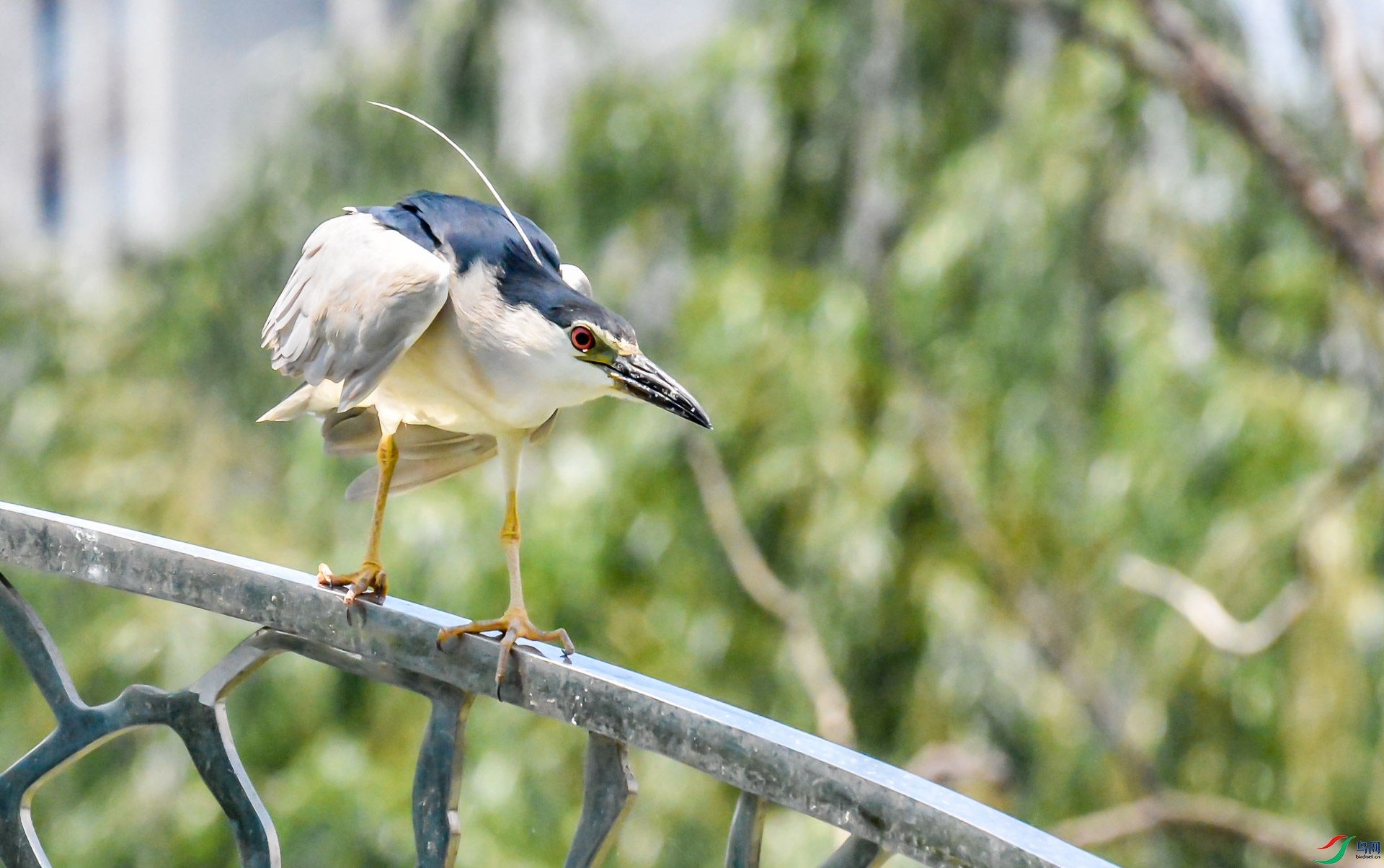 DSC_1093.jpg