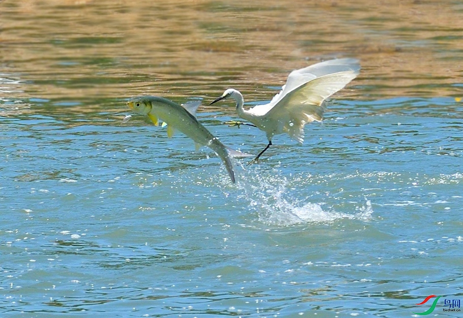 DSC_0715_000.jpg