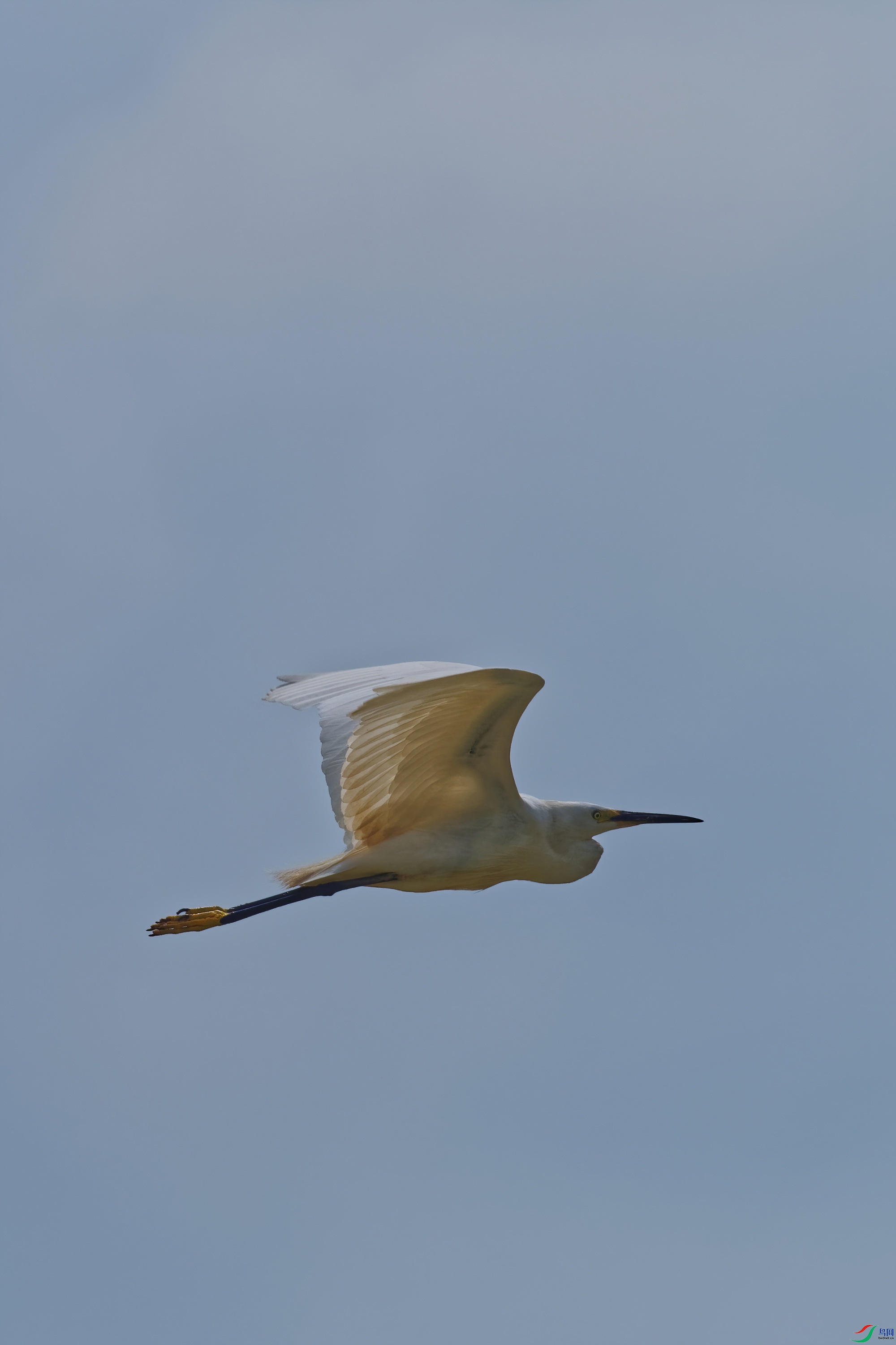 P7250762_DxO-d2.jpg
