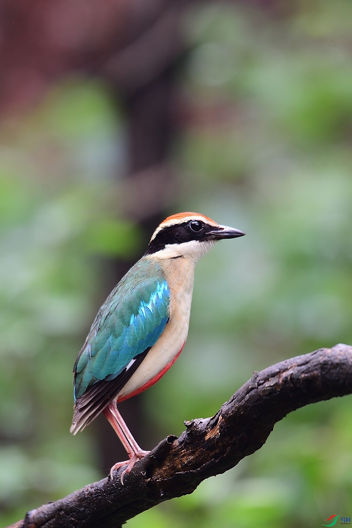 DSC_0259.jpg