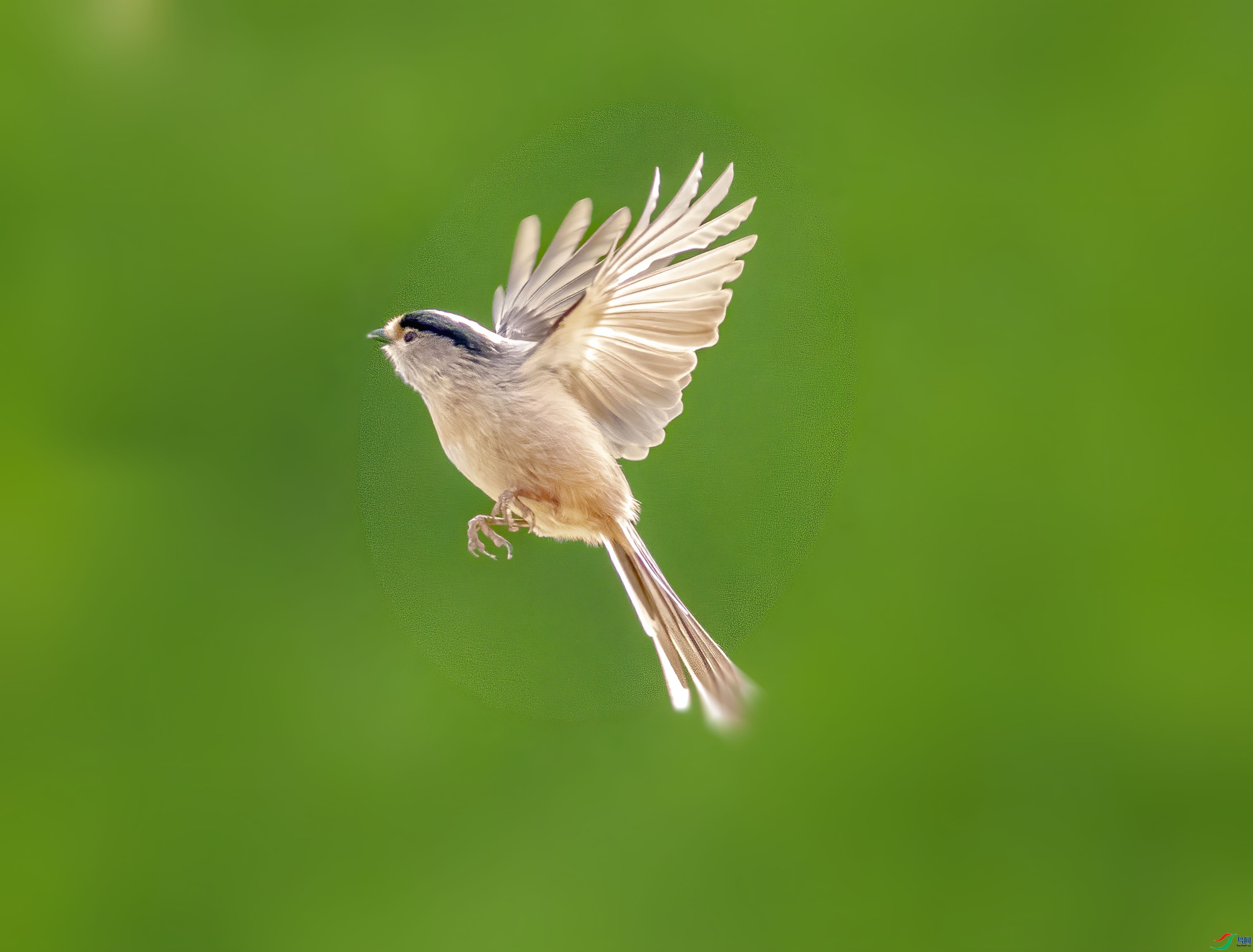 ������jn ��ʦ������ɽ��ʡ������.jpg