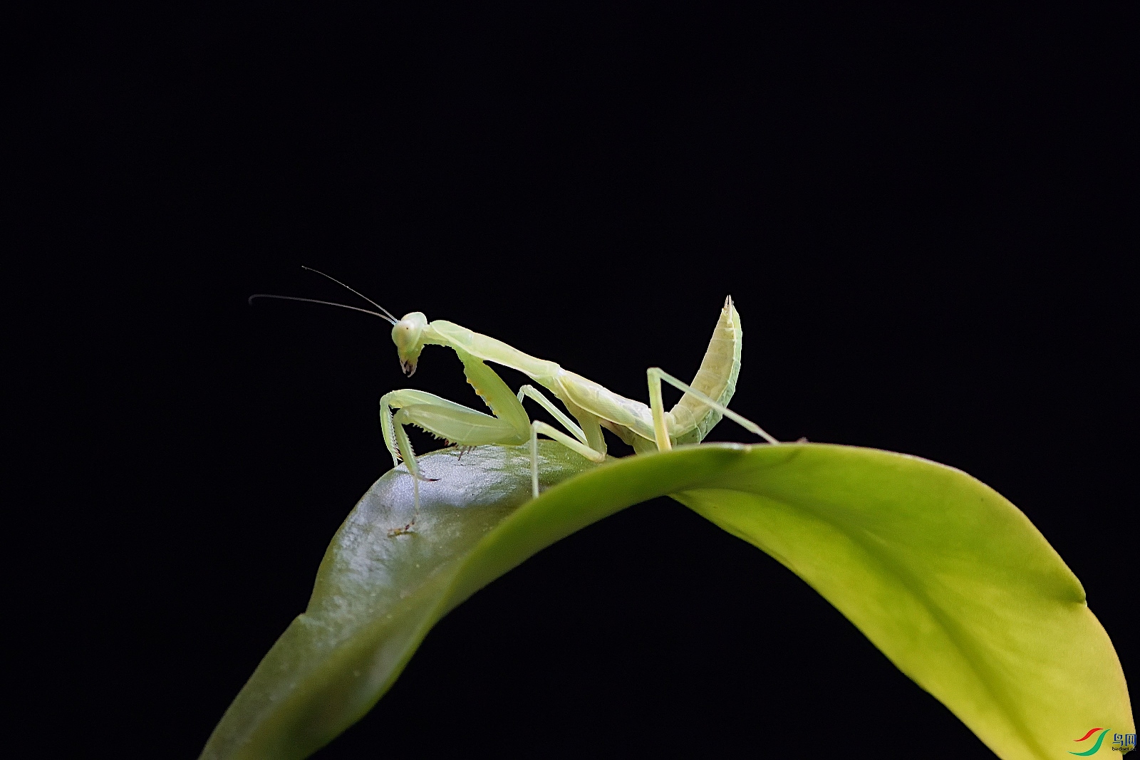 DSC_5192_00004.jpg