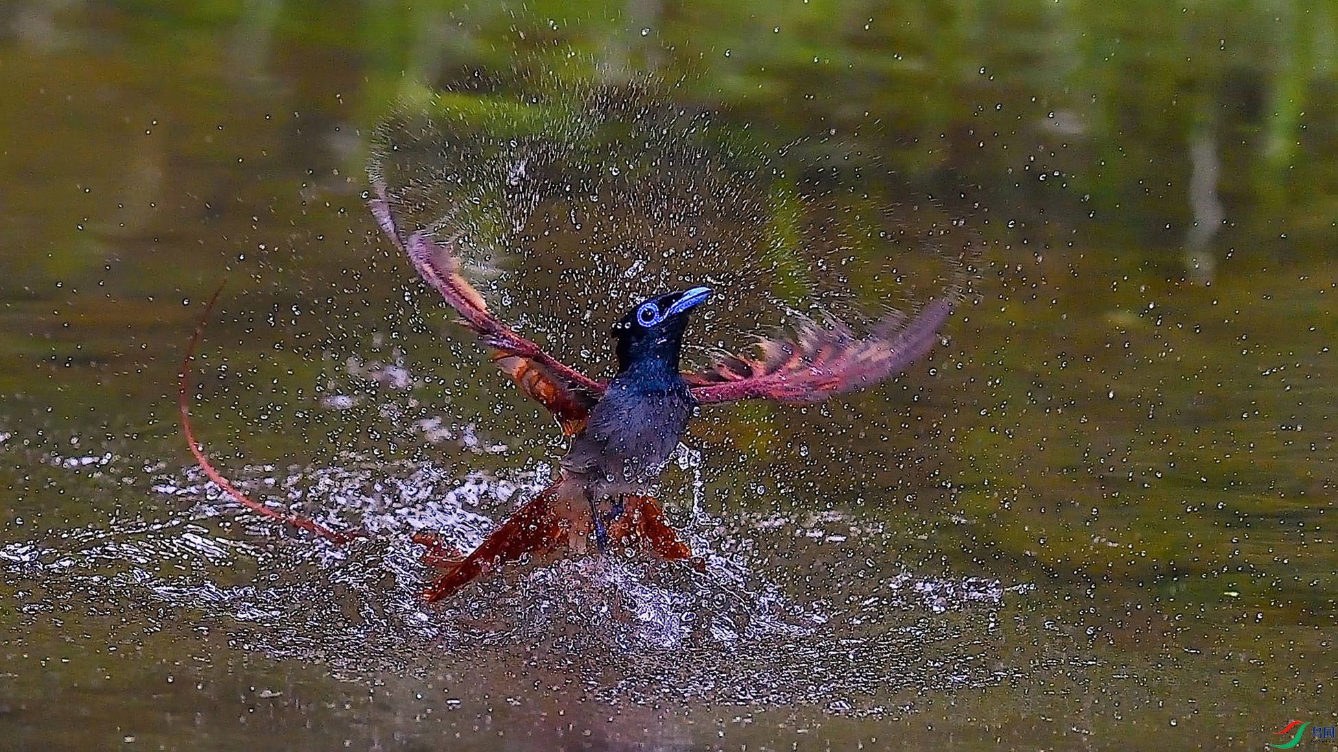 ��yһ������