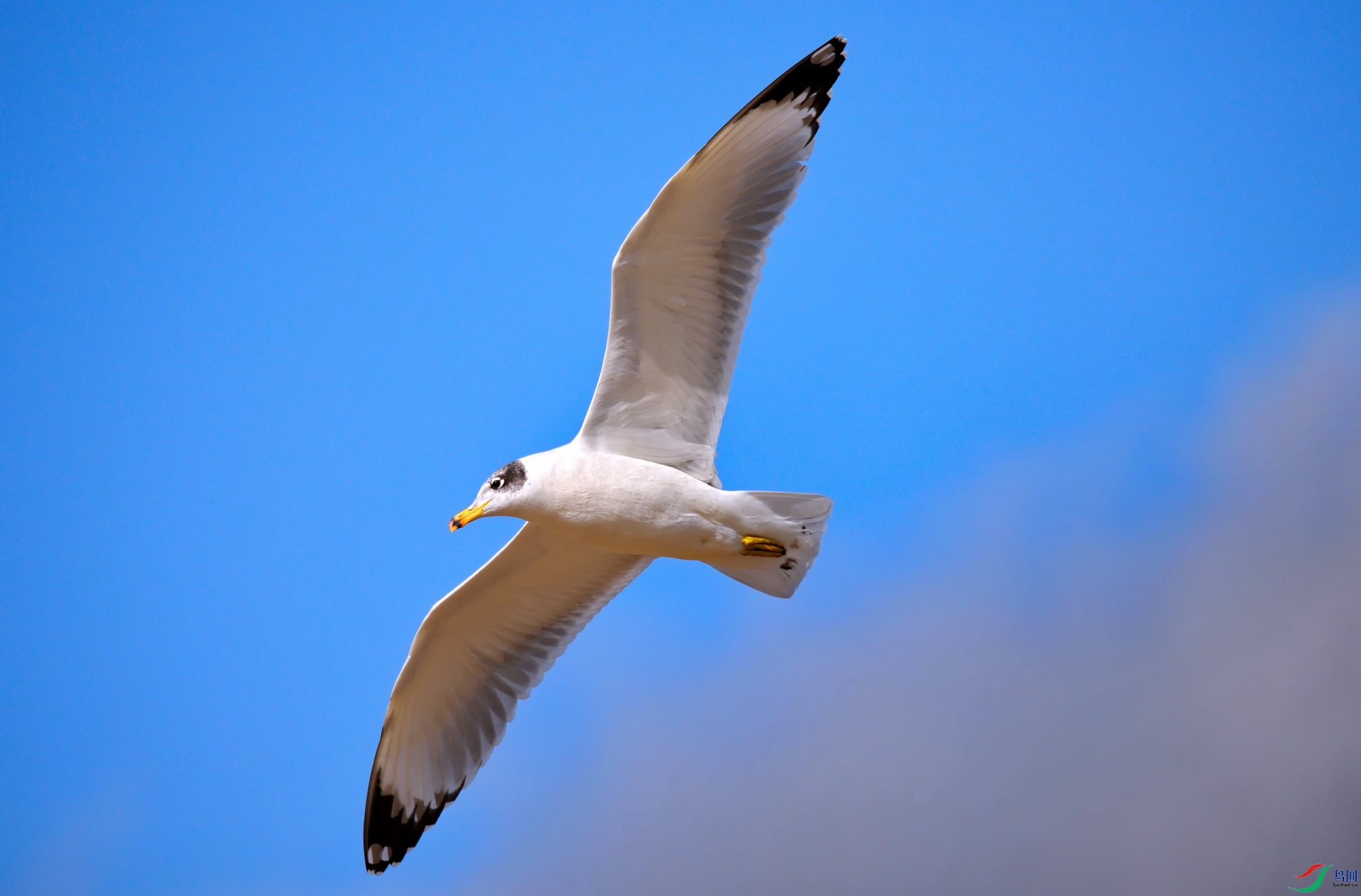 DSC_5749a.jpg