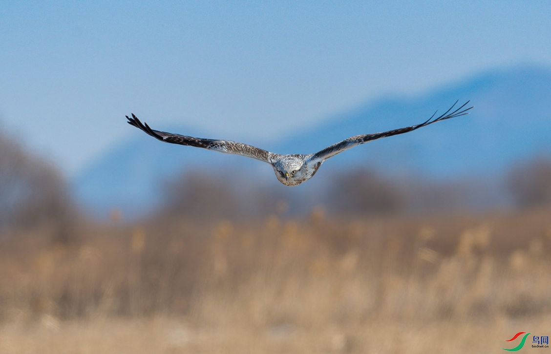 _DSC1579--�峿����.jpg