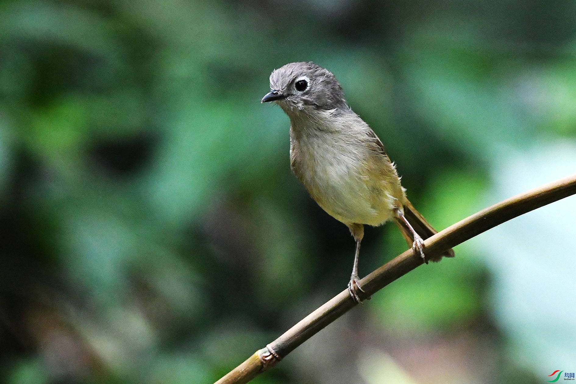 NIKON D5001704_����.jpg