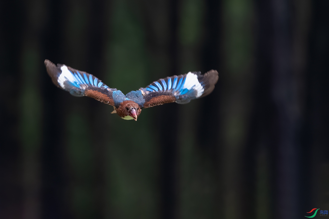 1DSC_2322_DxOa.jpg
