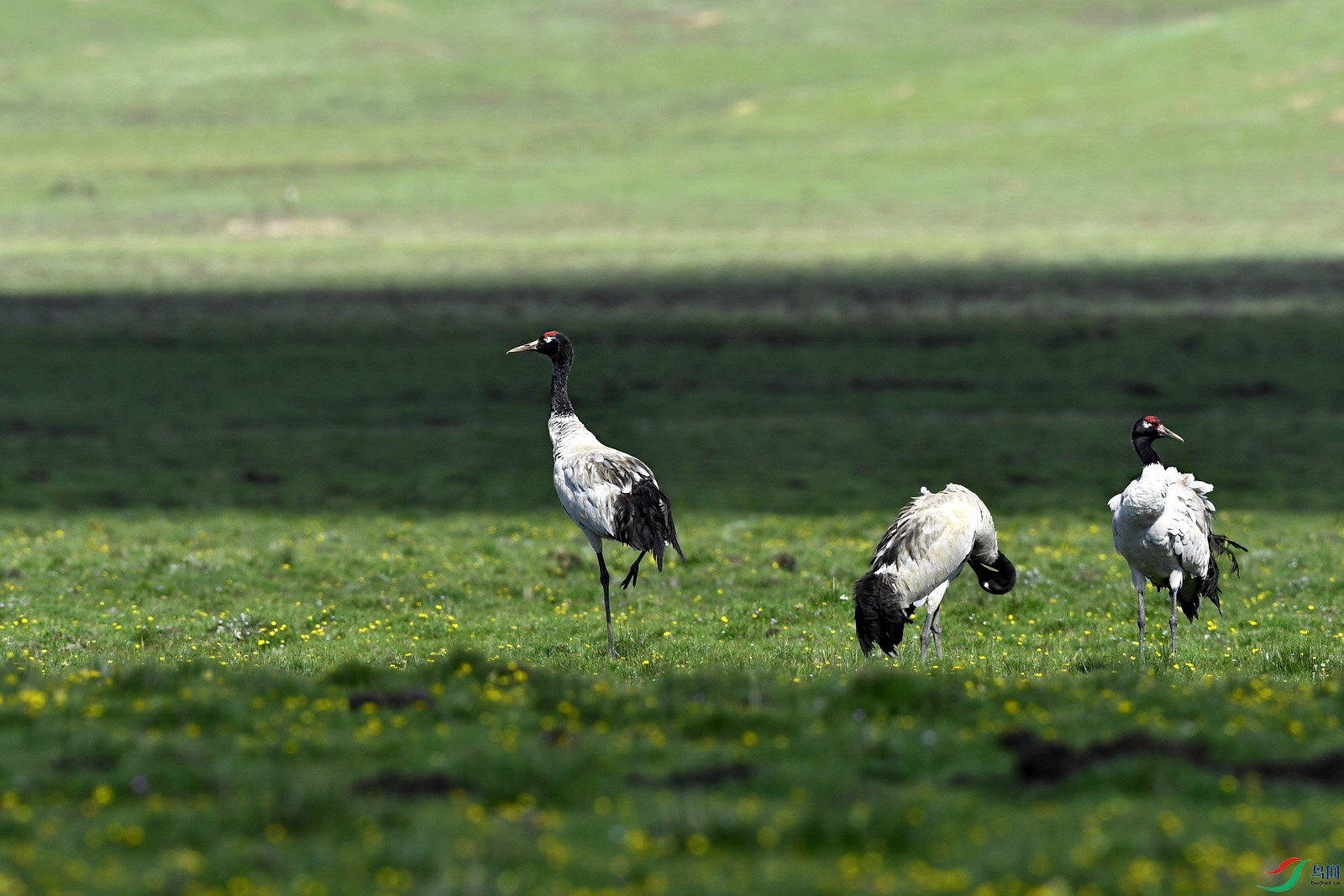 DSC_9577.JPG