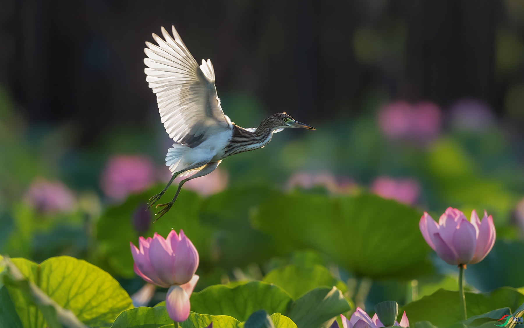 _MG_8614-3-1.jpg