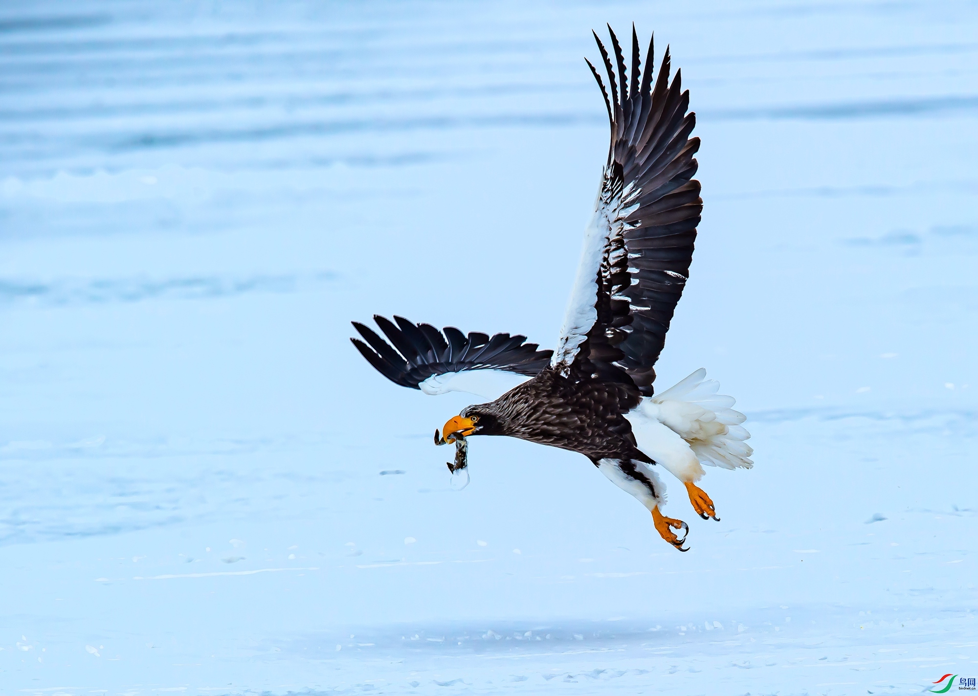 DSC_0053.jpg