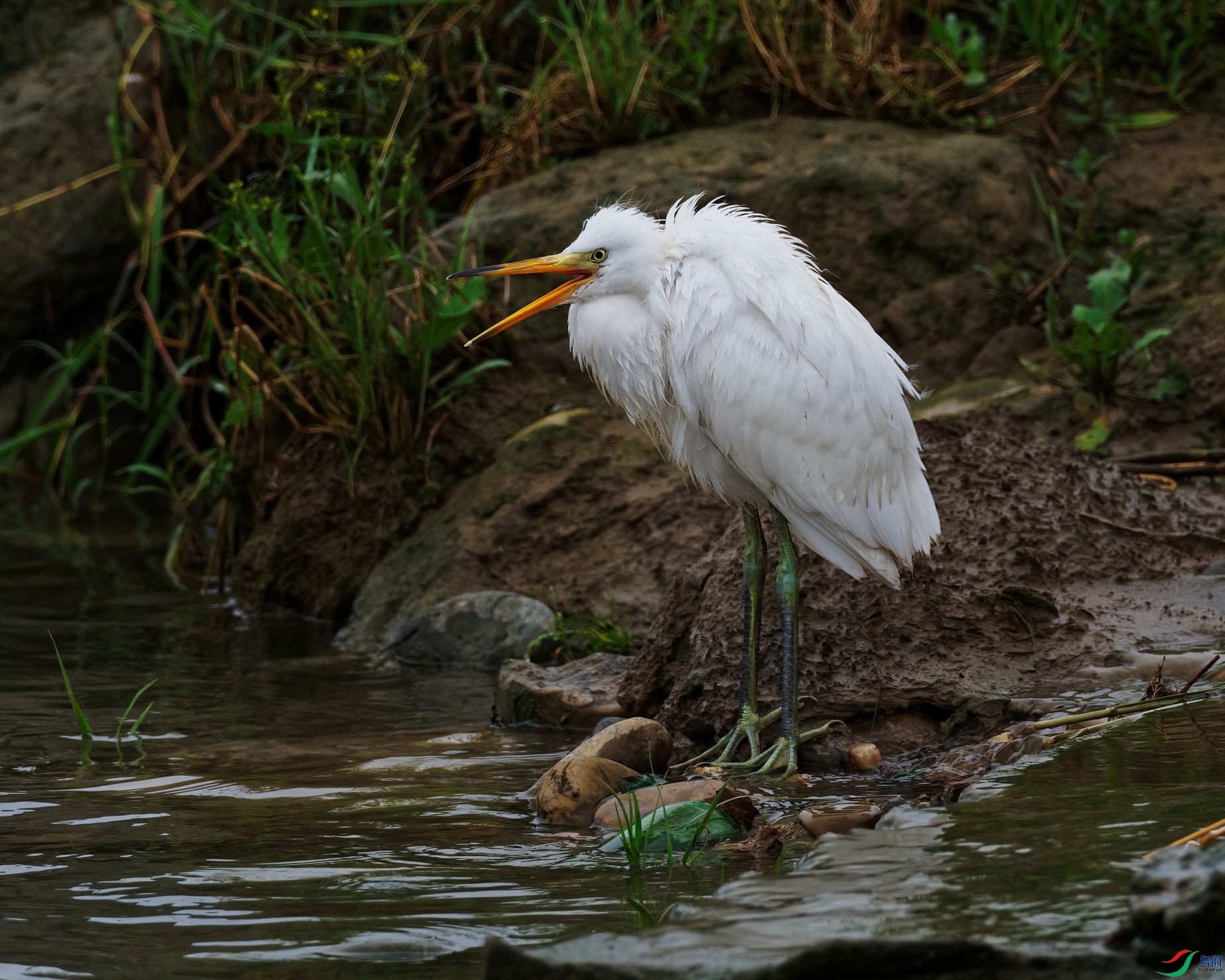 P7100389_DxO-d2.jpg