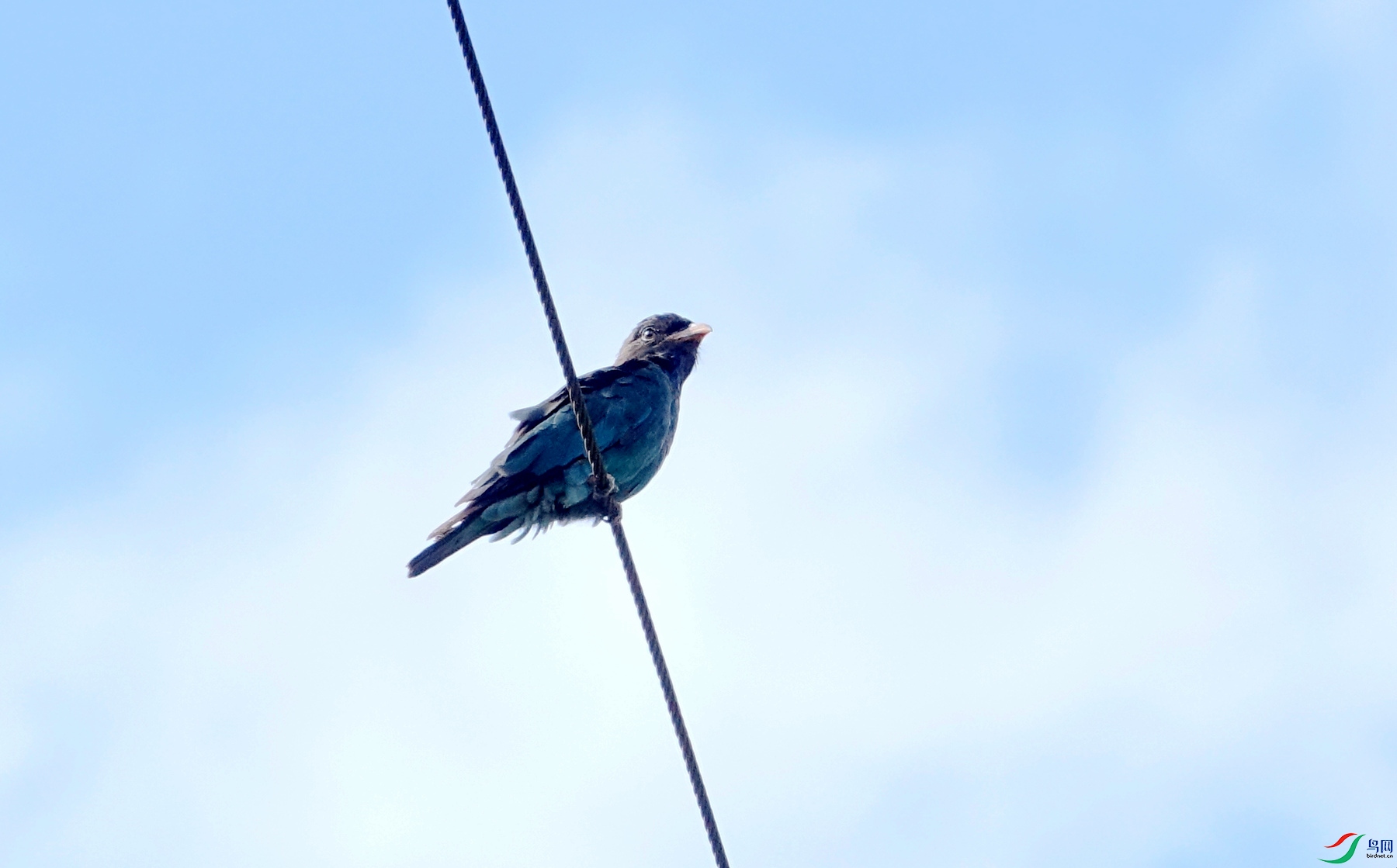 DSC03491_����.jpg