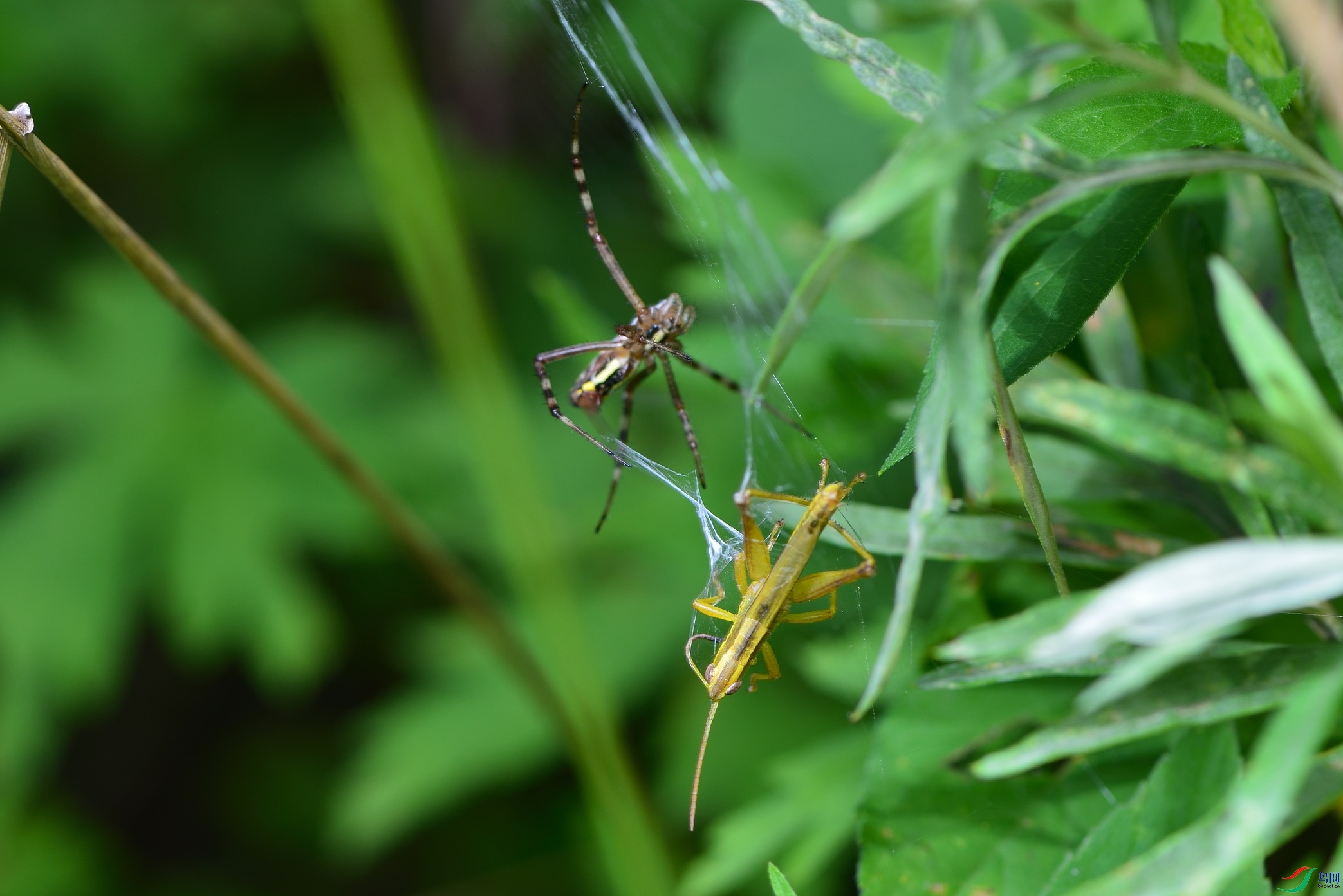 DSC_9778_00001.jpg