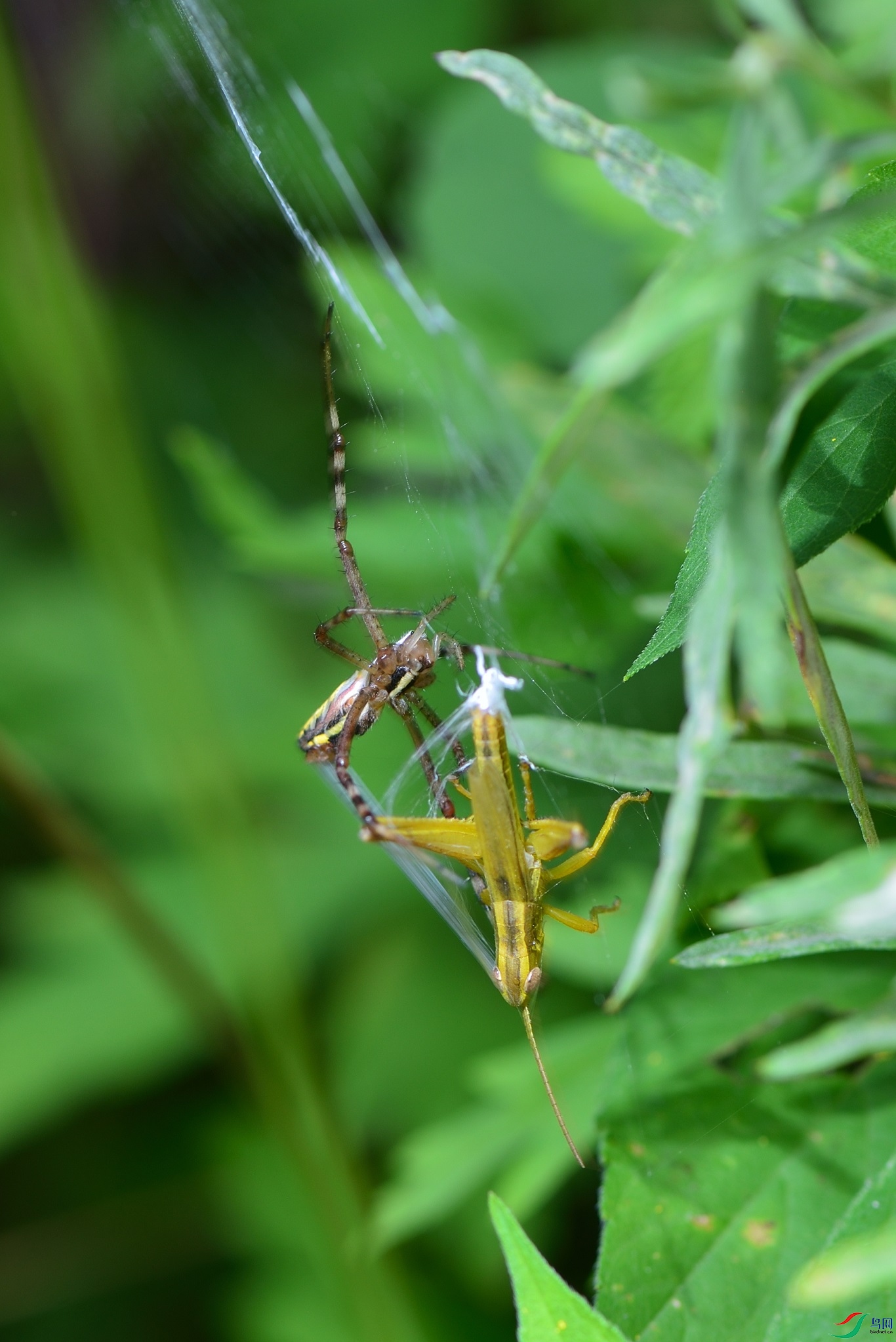 DSC_9782_00001.jpg