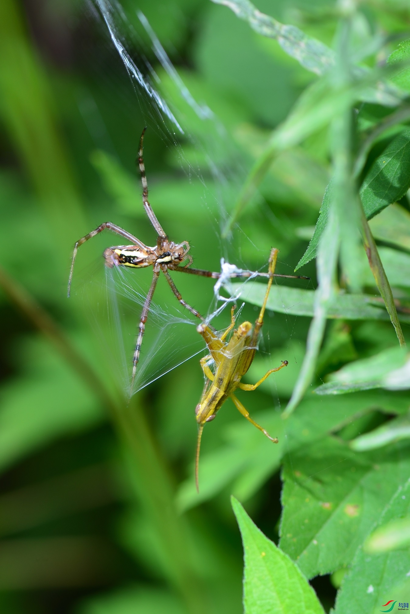 DSC_9784_00001.jpg