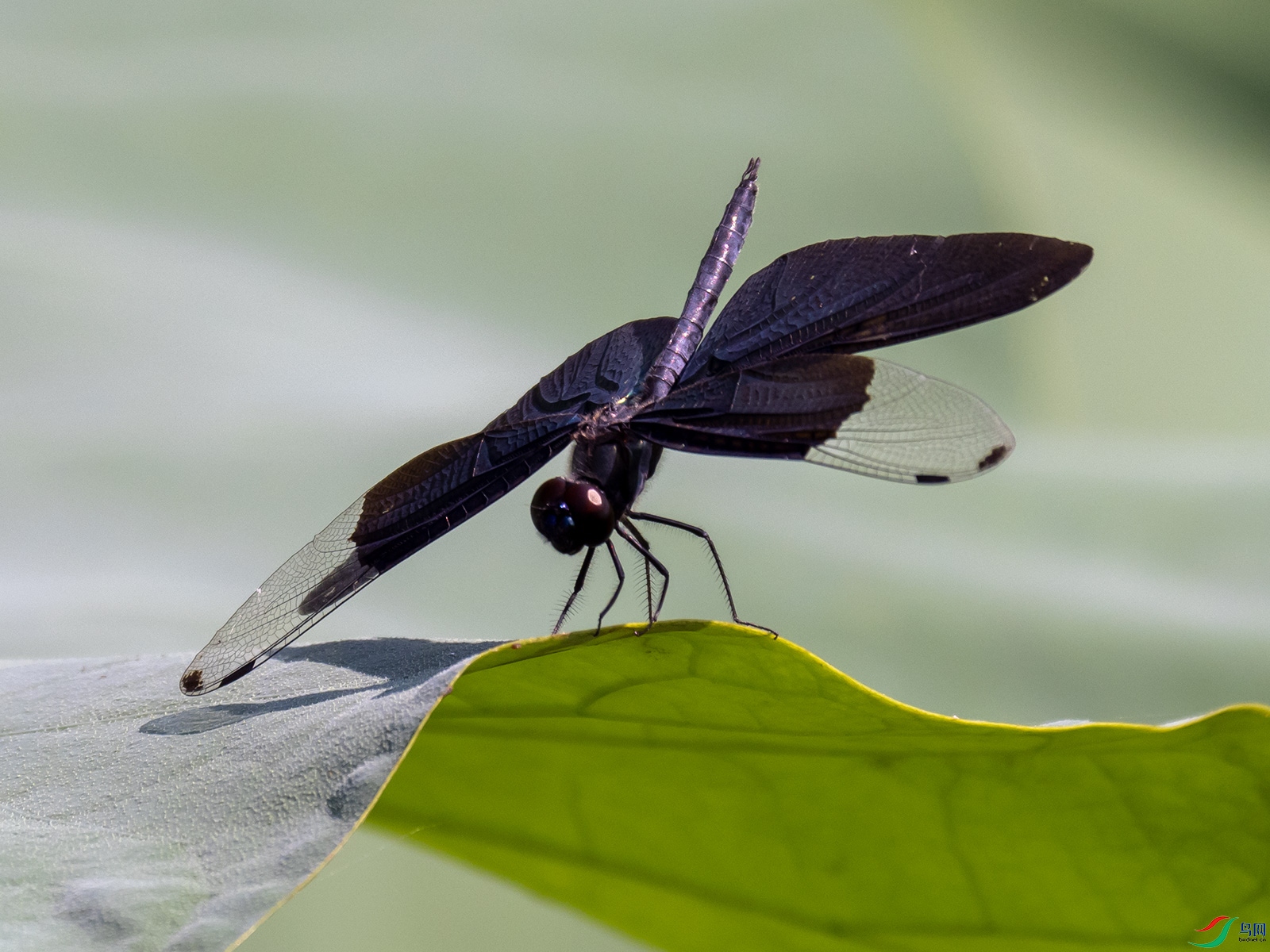 �\������