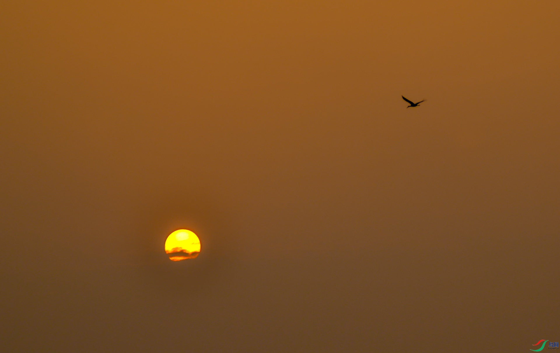 DSC_0121.jpg