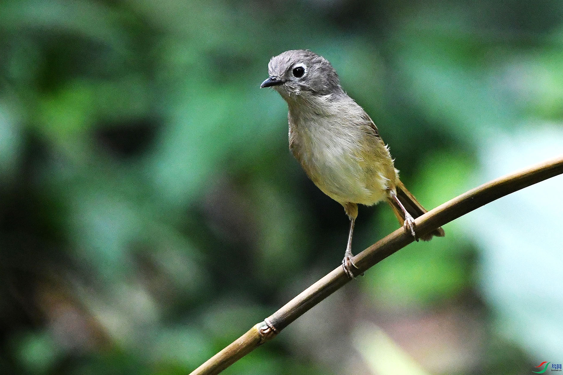 NIKON D5001707_����.jpg