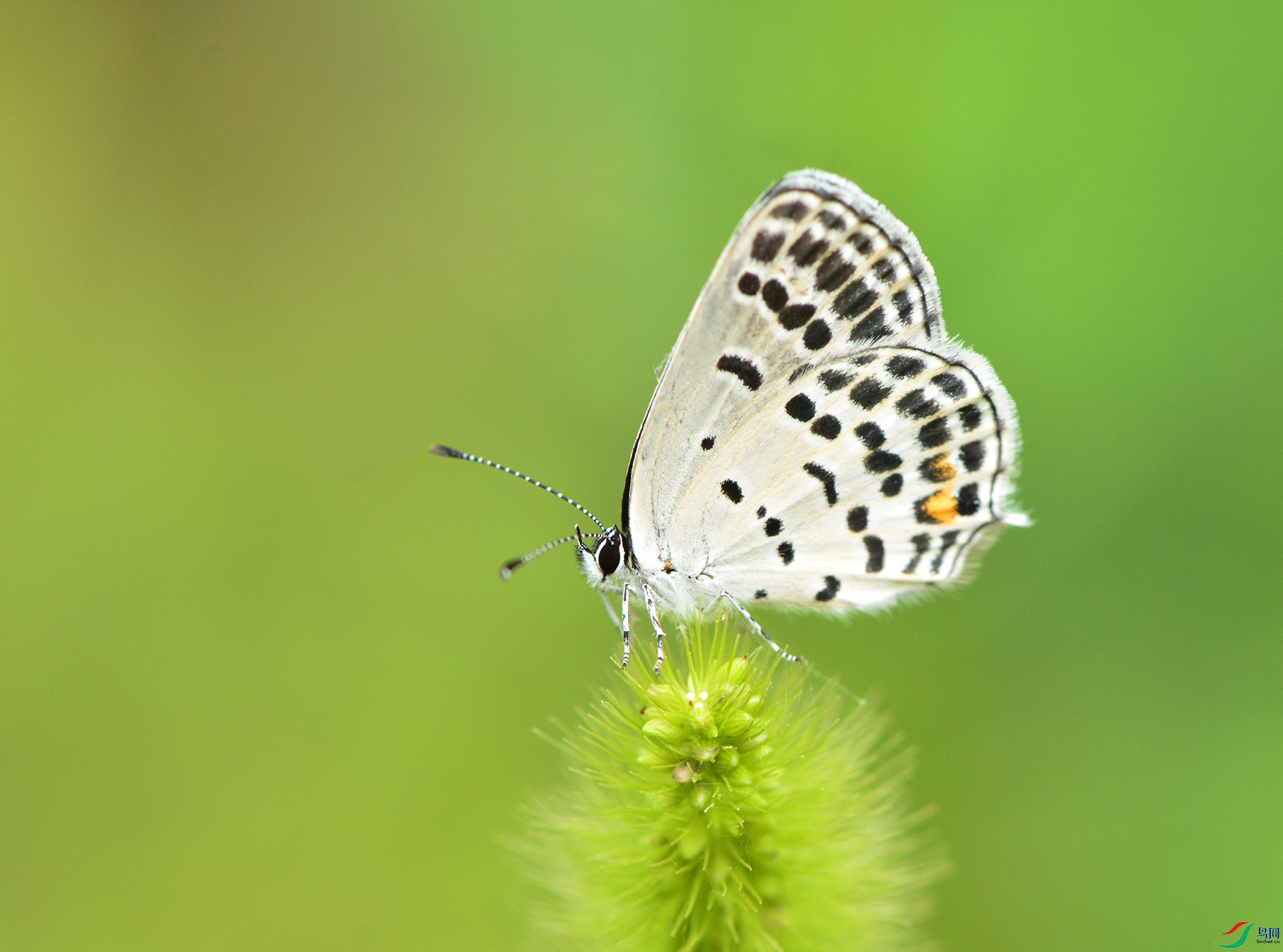 ������Ӱ 571����.jpg