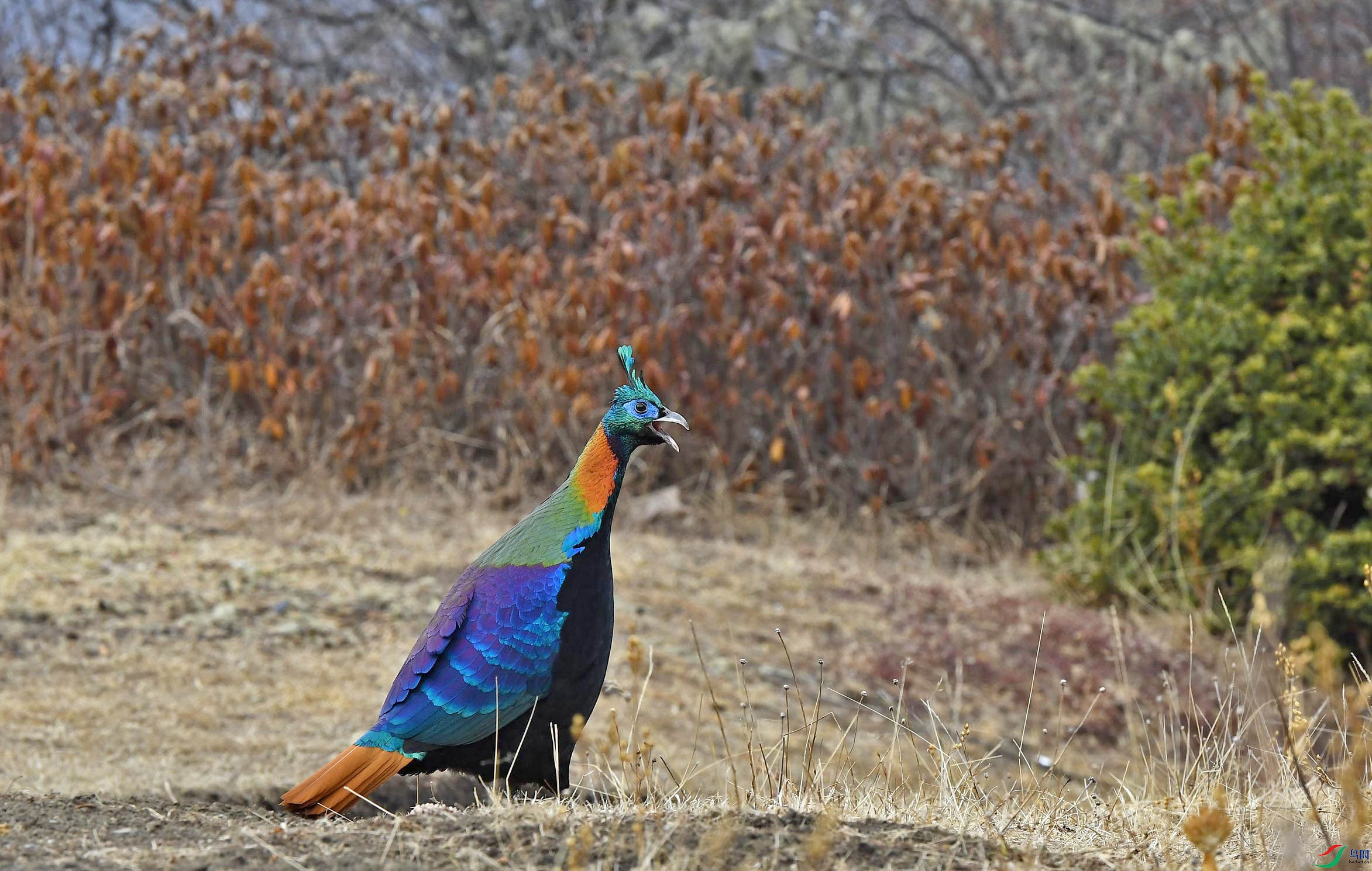 DSC_3004.JPG