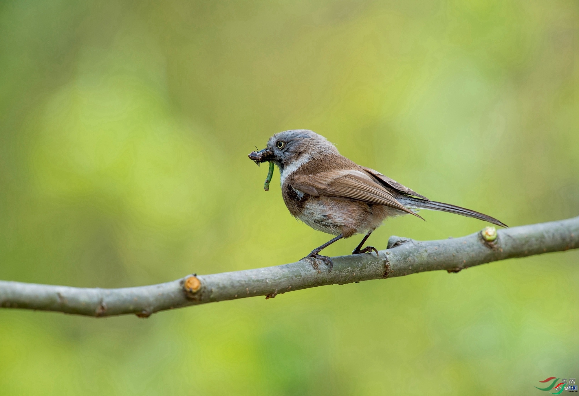 �ϱ��´�xa  ��ʦ����.jpg