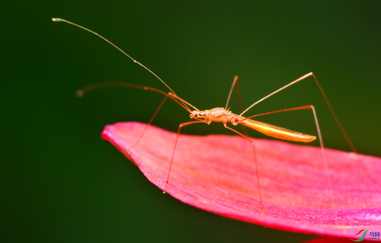 DSC_7161 ����.jpg