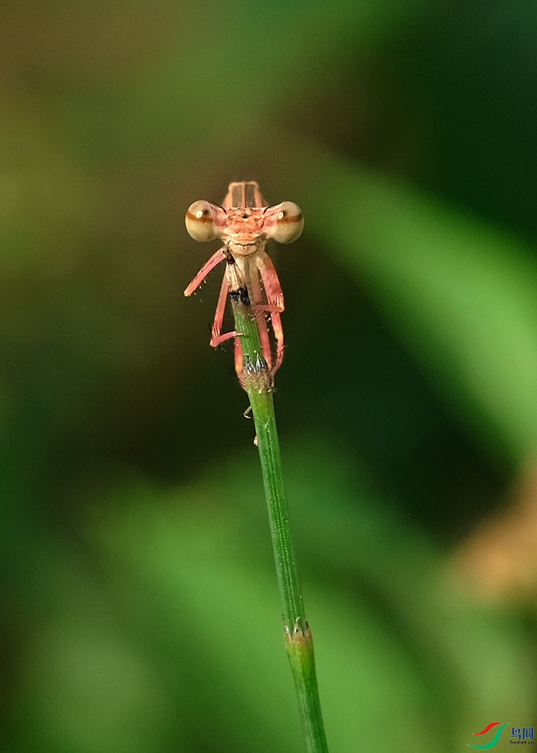DSCF6143.JPG