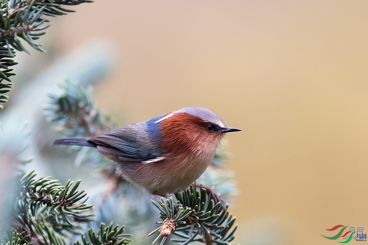 zhanghj486  ��ʦ����.jpg