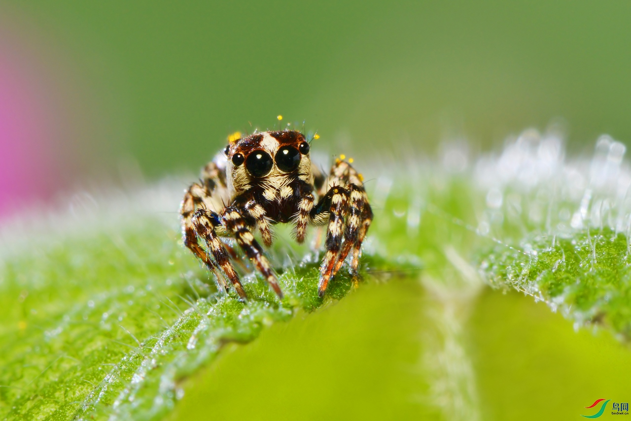 DSC_1053 �� ����.jpg