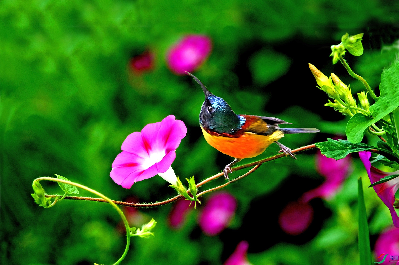 5.����ͼ-�̺�̫����9088AM.jpg