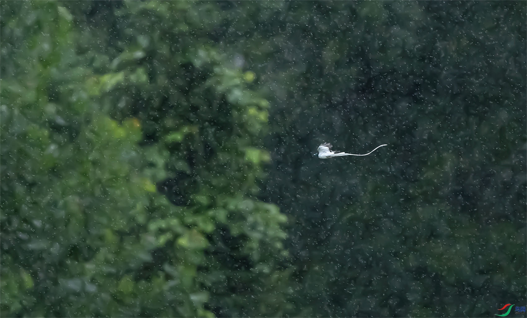 DSC_2986.jpg