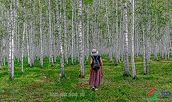 817A4248-1a (2)-1b ����c.jpg