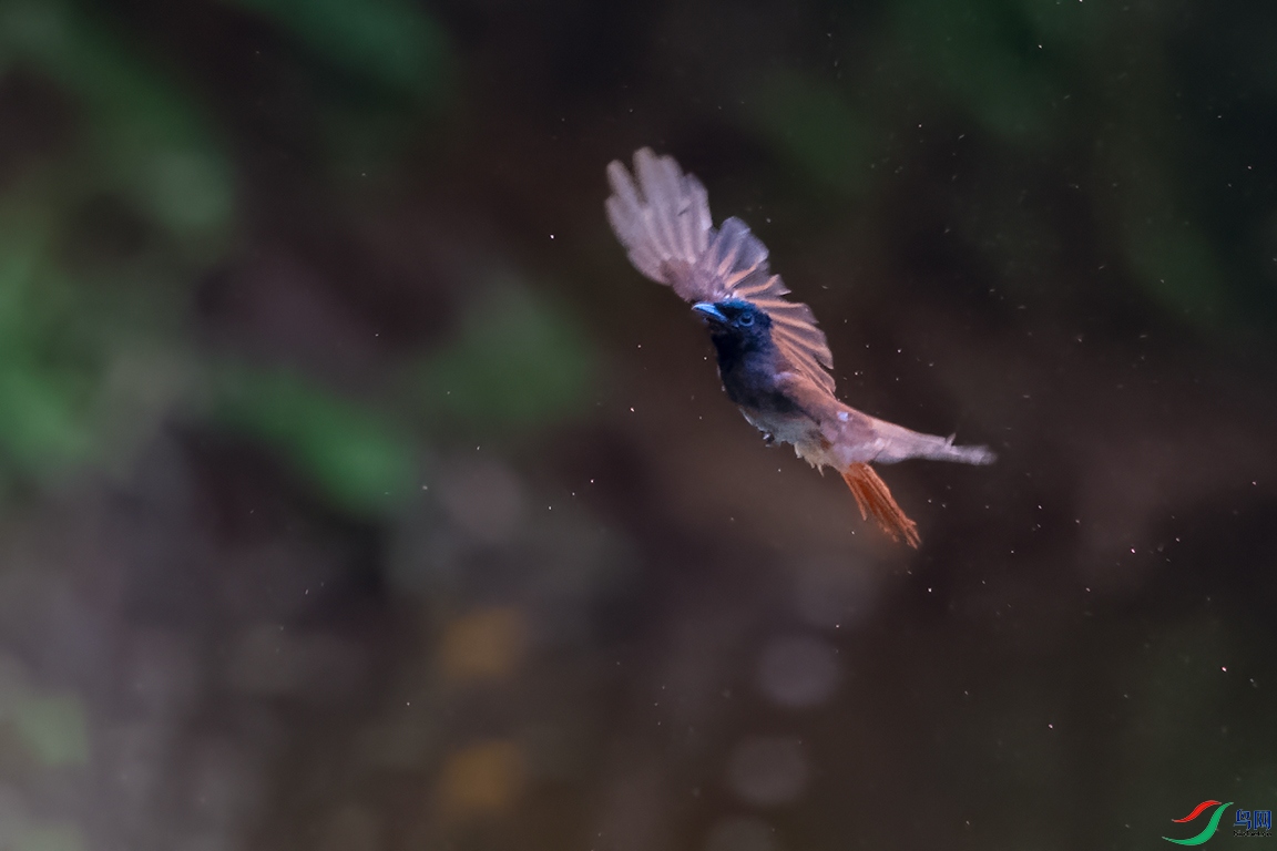 DSC_3660_DxOa.jpg