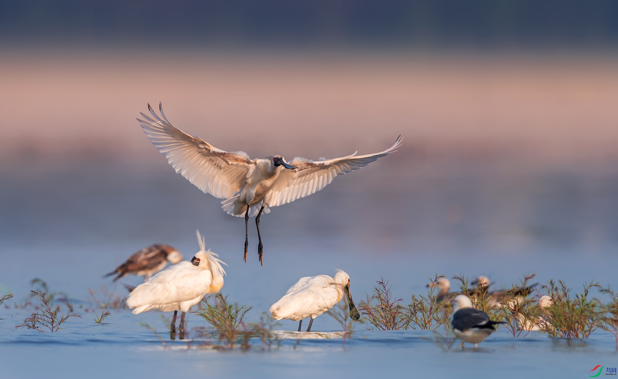 ��������