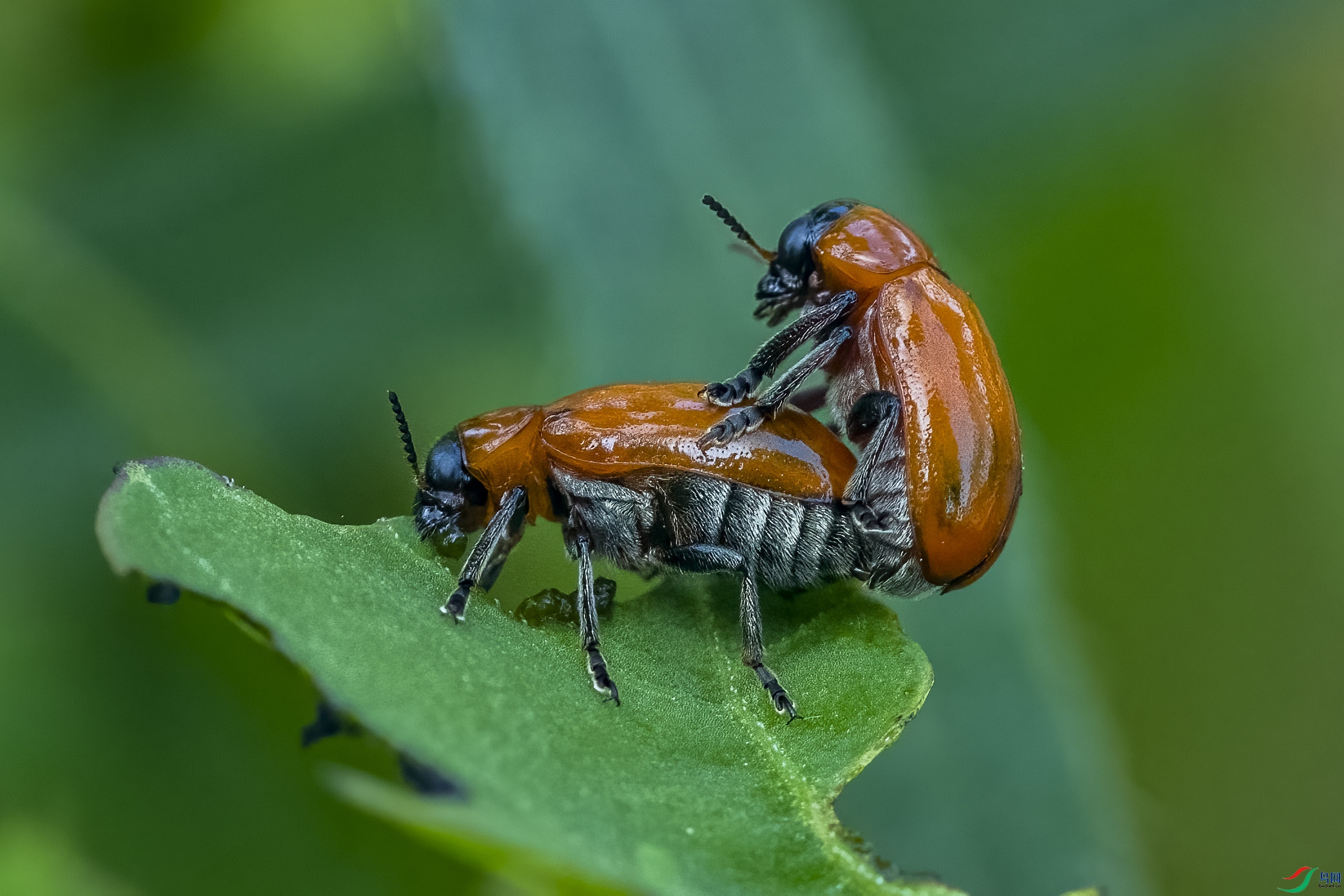 DSC_7494.jpg