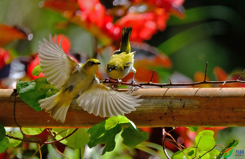 DSCF9166.1.jpg