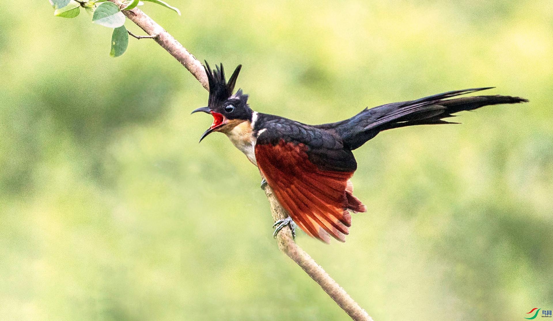 CI5A9976 - ���� - ���� - ���� (2).jpg