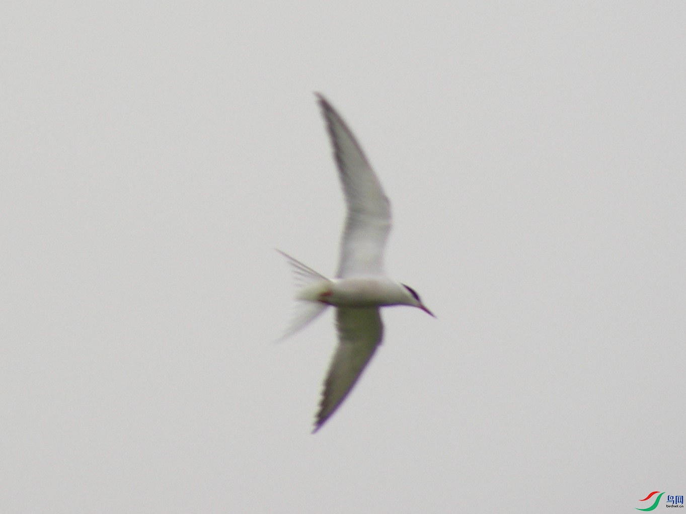 DSCN6868.jpg