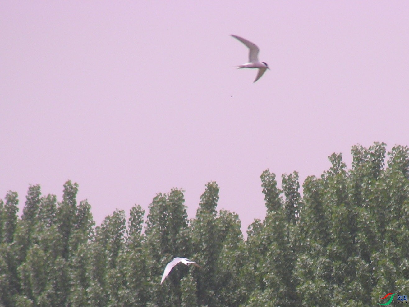 DSCN6862.jpg