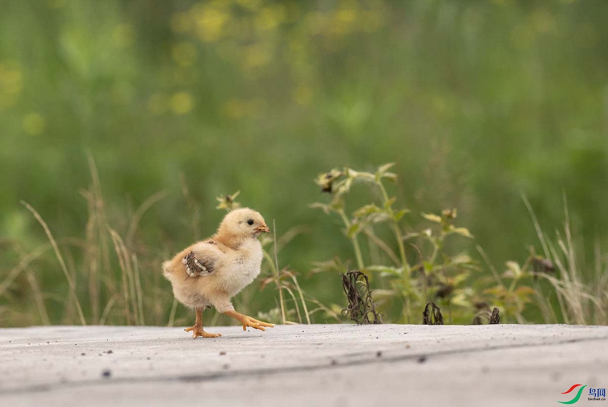 _DSC0885.jpg- - ����.jpg