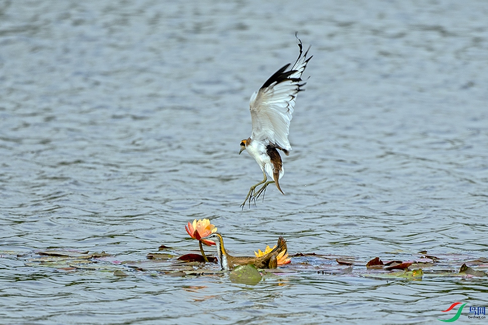 ��DSC_4393.jpg